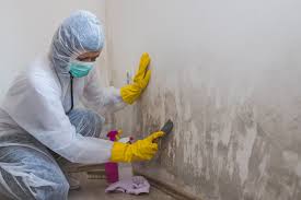 Best Mold Documentation for Insurance Claims  in Savannah, GA